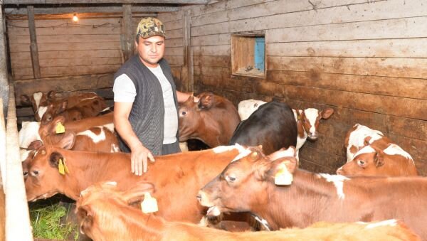 Казым — работящий парень, техникой управляет, умеет строить, мастерить Фото: автора