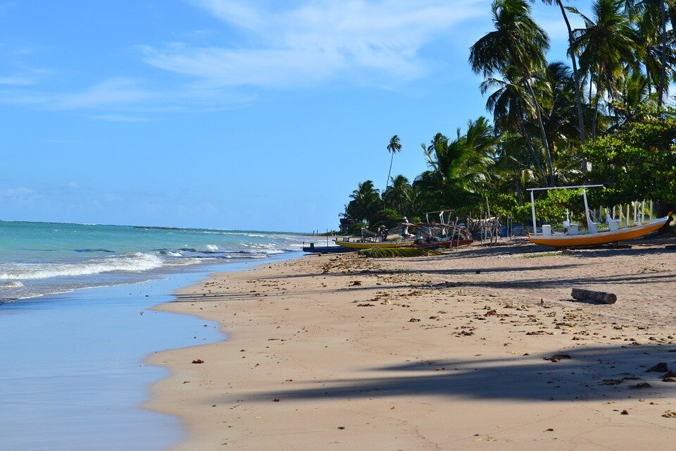 https://cdn.pixabay.com/photo/2014/03/26/23/02/maceio-299107_960_720.jpg