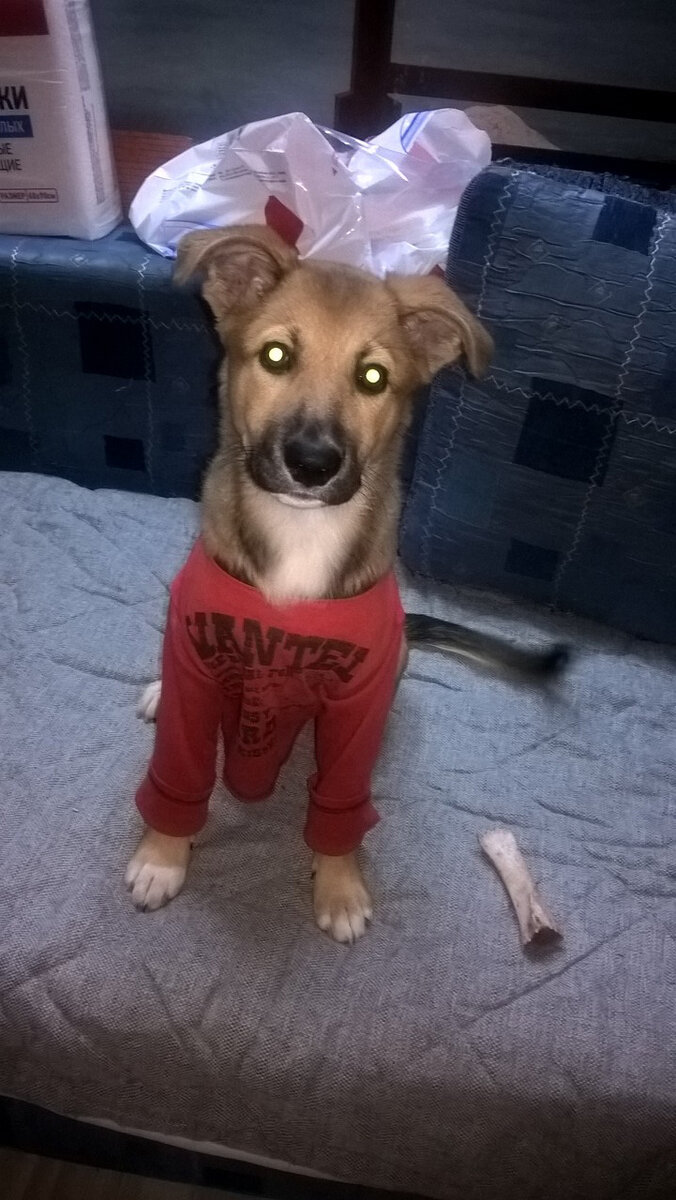 Преступница номер 1