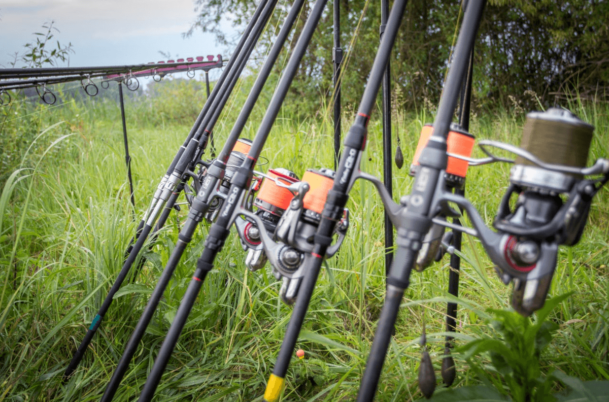 Выбор удилища для рыбалки