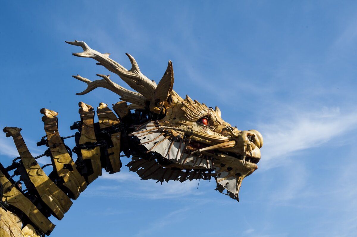 Изображение взято с сайта https://unsplash.com