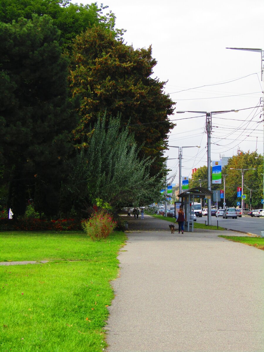 Проспект Кулиева