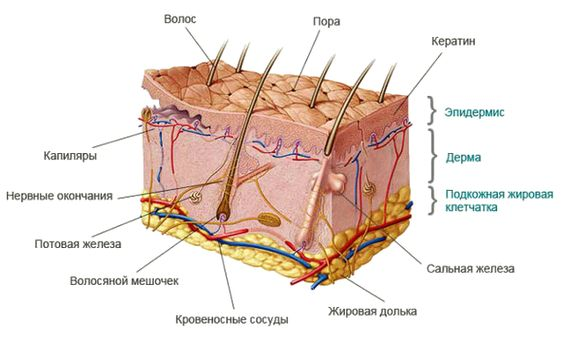 https://www.pinterest.ru/pin/366691594650302793/