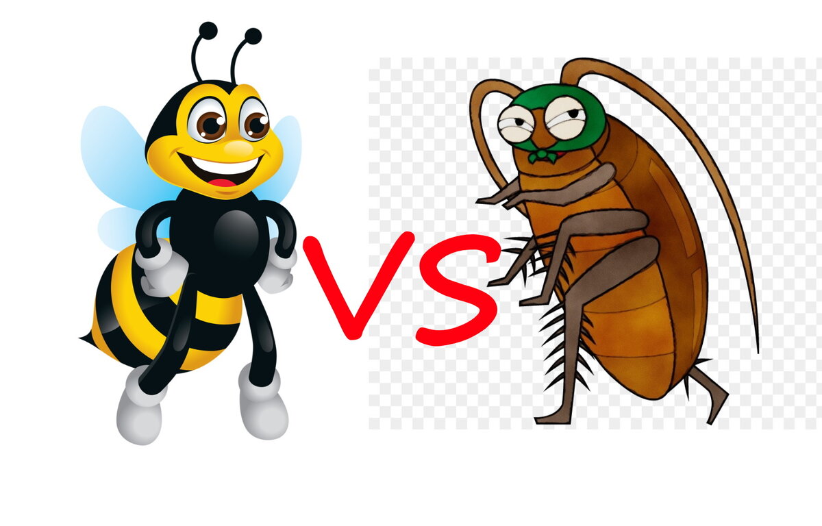 Пчелы исчезают, а тараканы возвращаются, есть ли связь? | Прекрасное НЕ ...