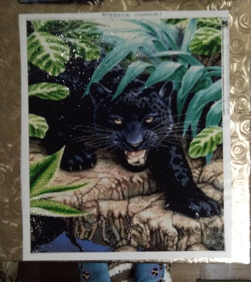 Готовая работа алмазной вышивки