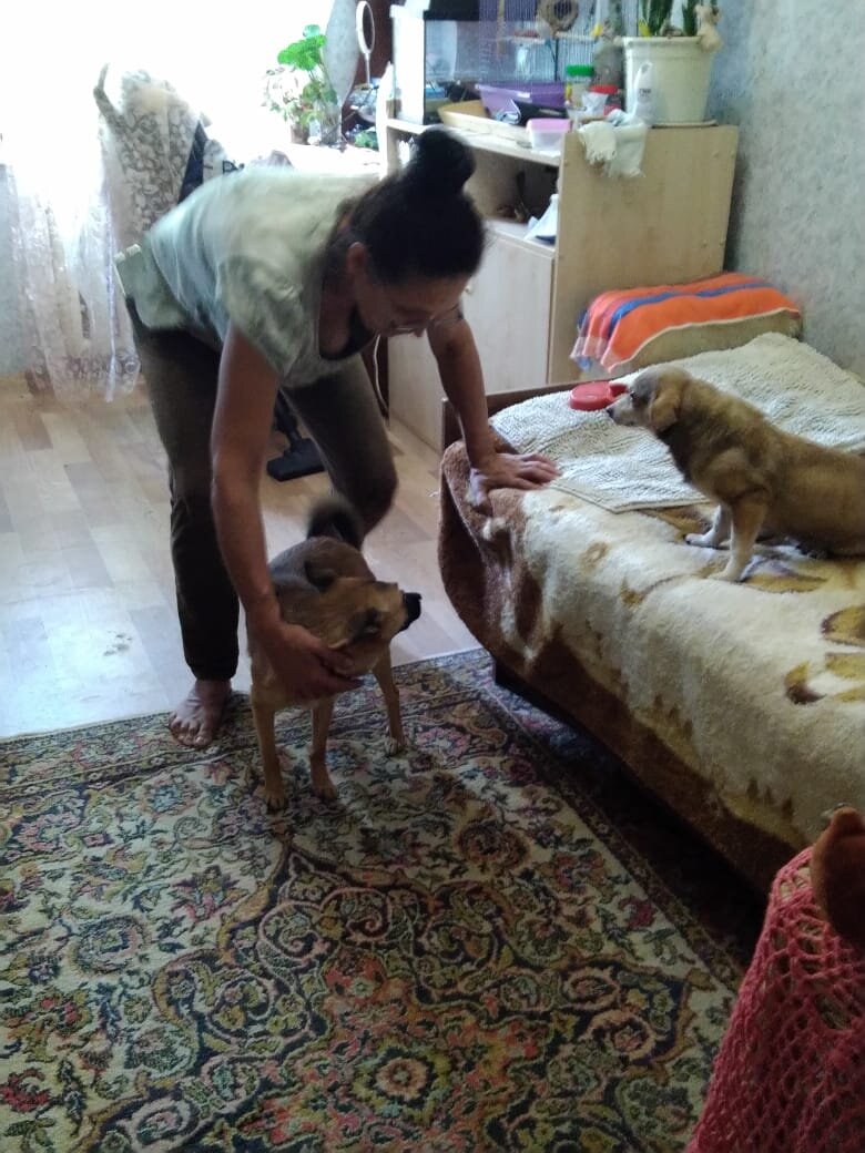 Собака Стаси из Банды Дворян