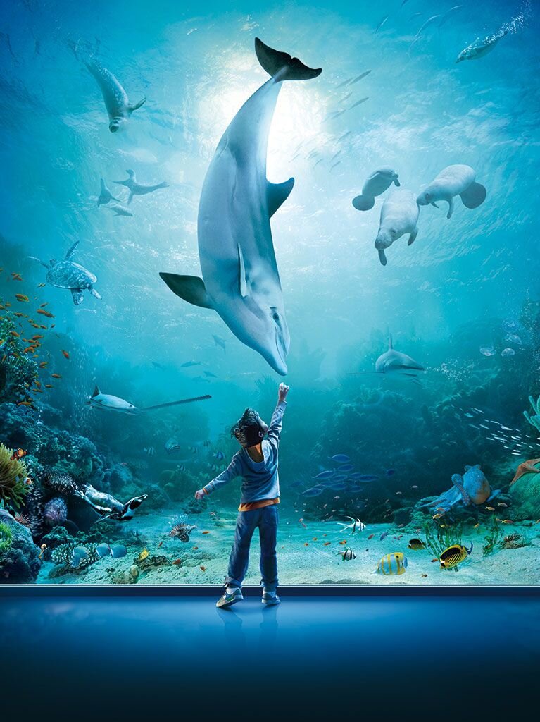 https://www.acquariodigenova.it/en/