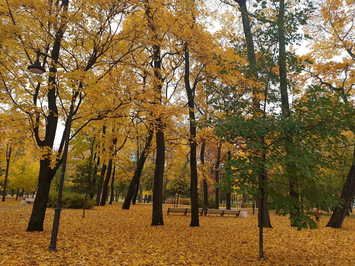 Елагин остров. Парк