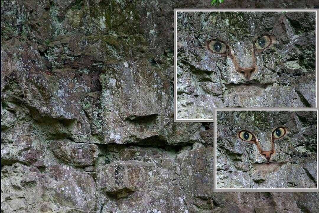 Файл из открытых источников