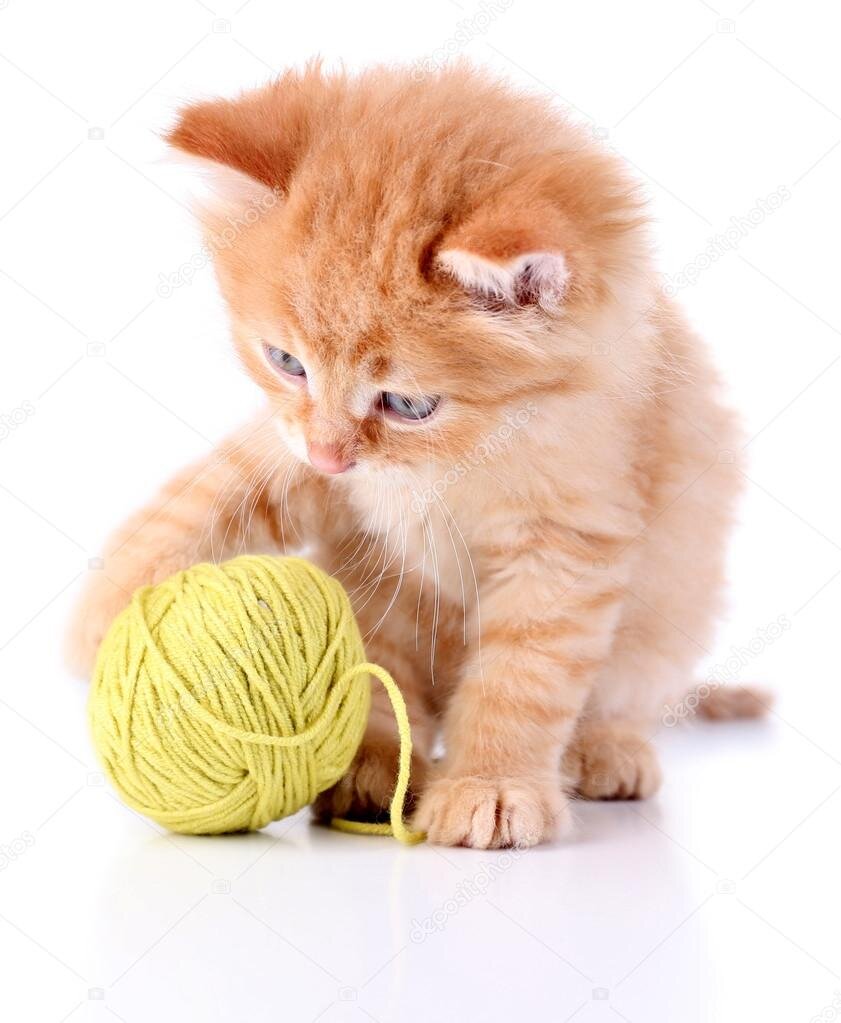 Маленький котенок quot;Мяуquot;. Алла Медведева Дзен