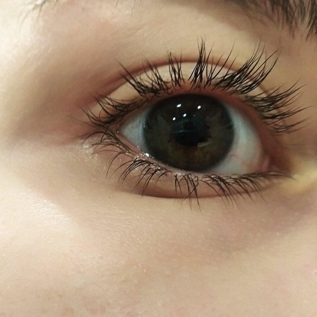 Фото сделано мной