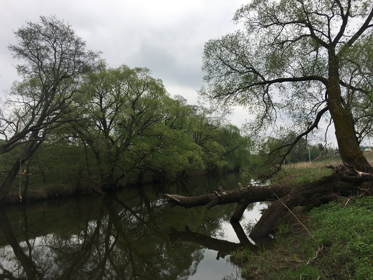 Лечные речки - верный спутник того кто отправляется в похад