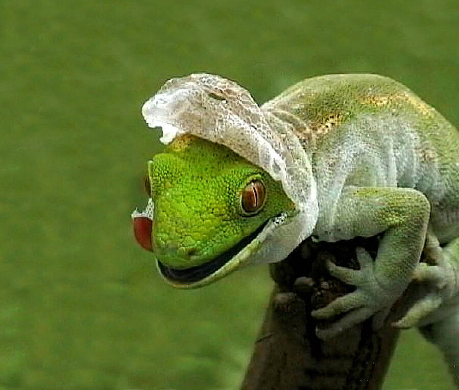 Меняться, оставаясь собой - такое под силу только по-настоящему хладнокровным личностям.