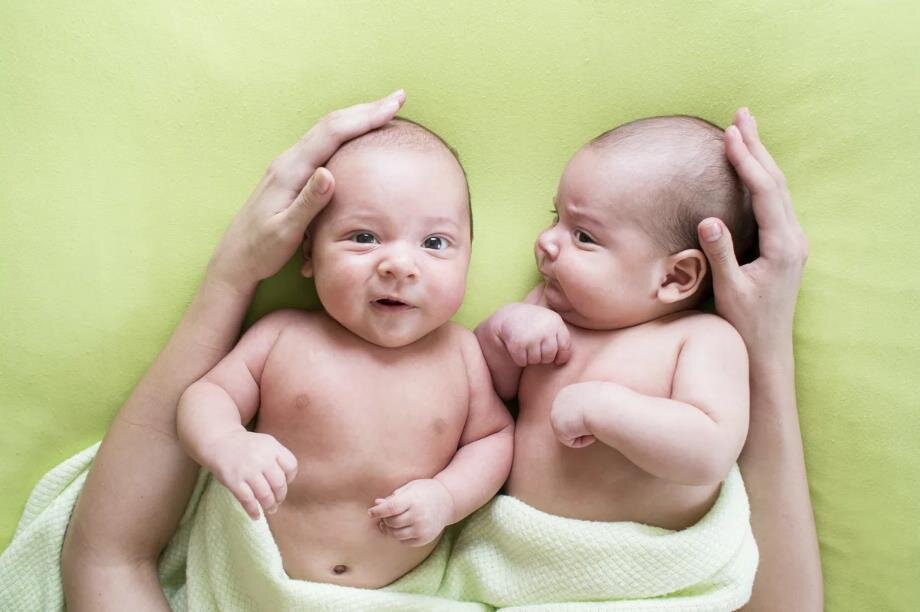 Фото – yandex.net