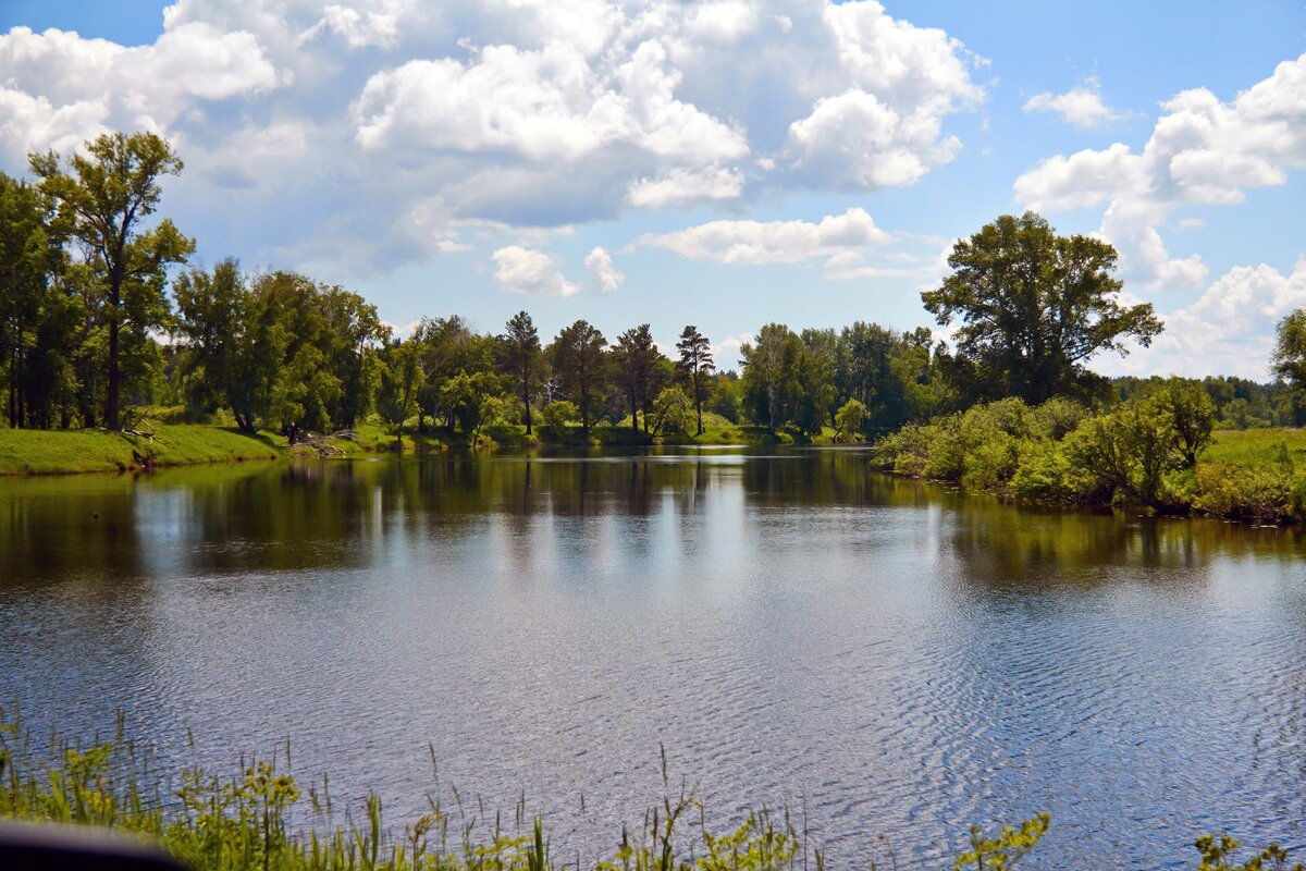 Село курья алтайский край фото