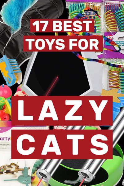 Toys for lazy store cats