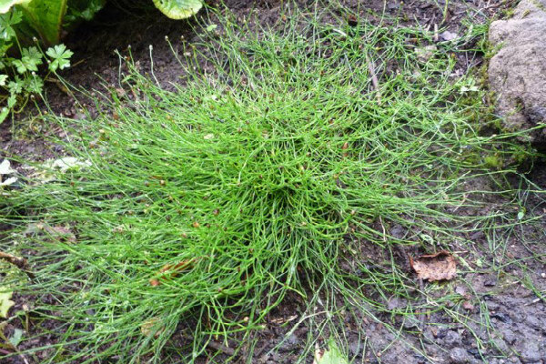  Источник: https://yandex.ru/images