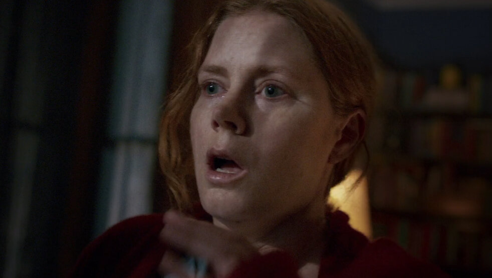 Кадр из фильма "Женщина в окне", 2020 г.