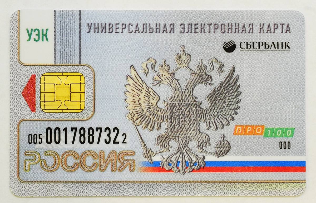 Так мог бы выглядеть универсальный электронный паспорт гражданина.