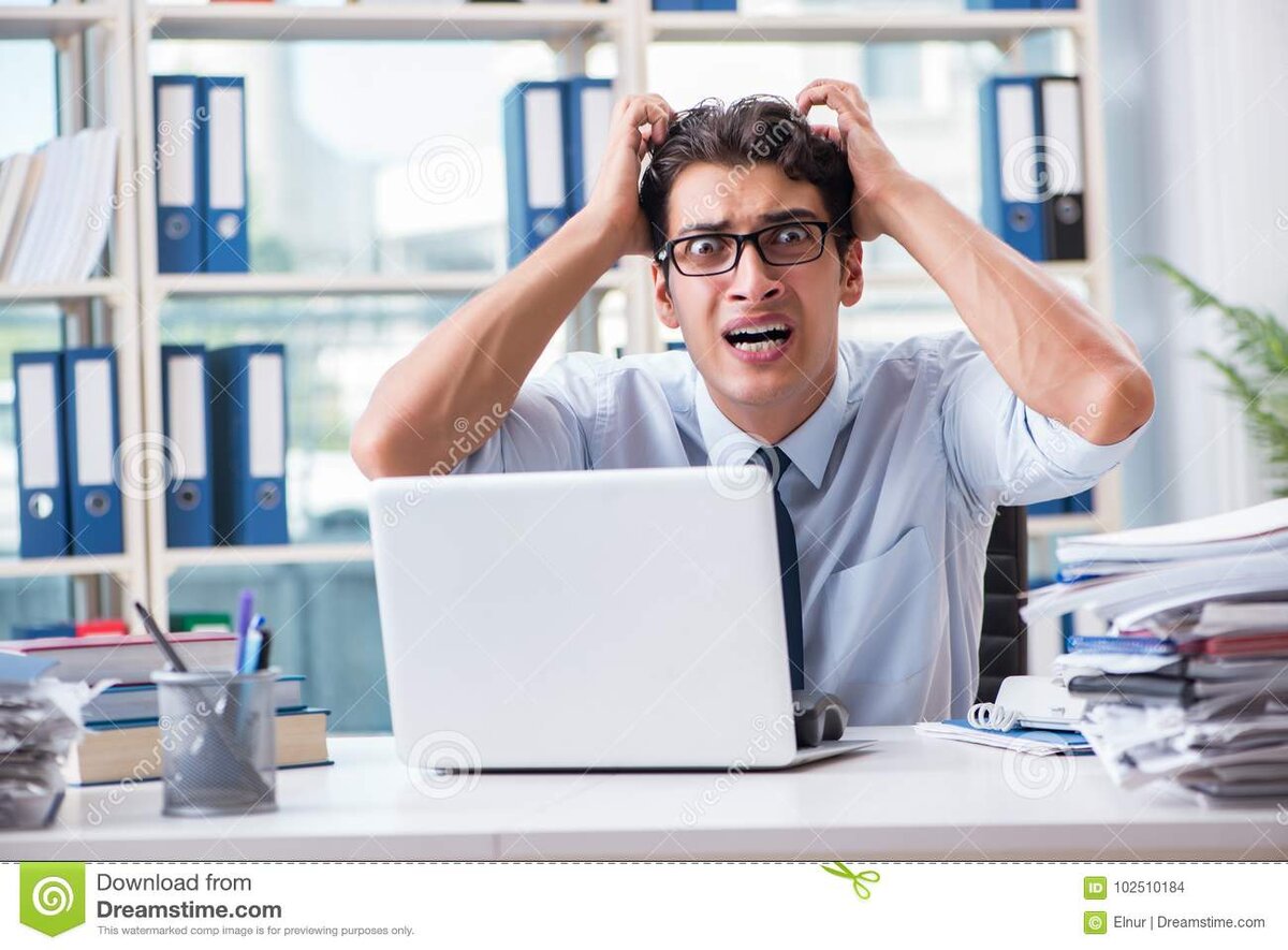 Взято из открытых источников 