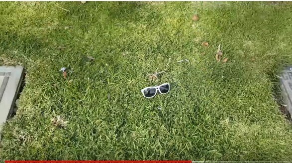 cкриншот с youtube chanel   Daze with Jordan the Lion