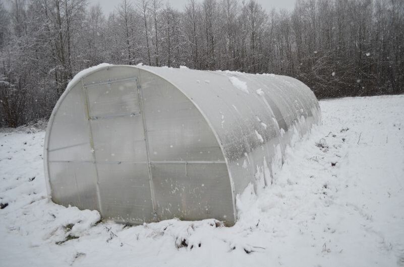 Моя теплица в декабре 2019 года.