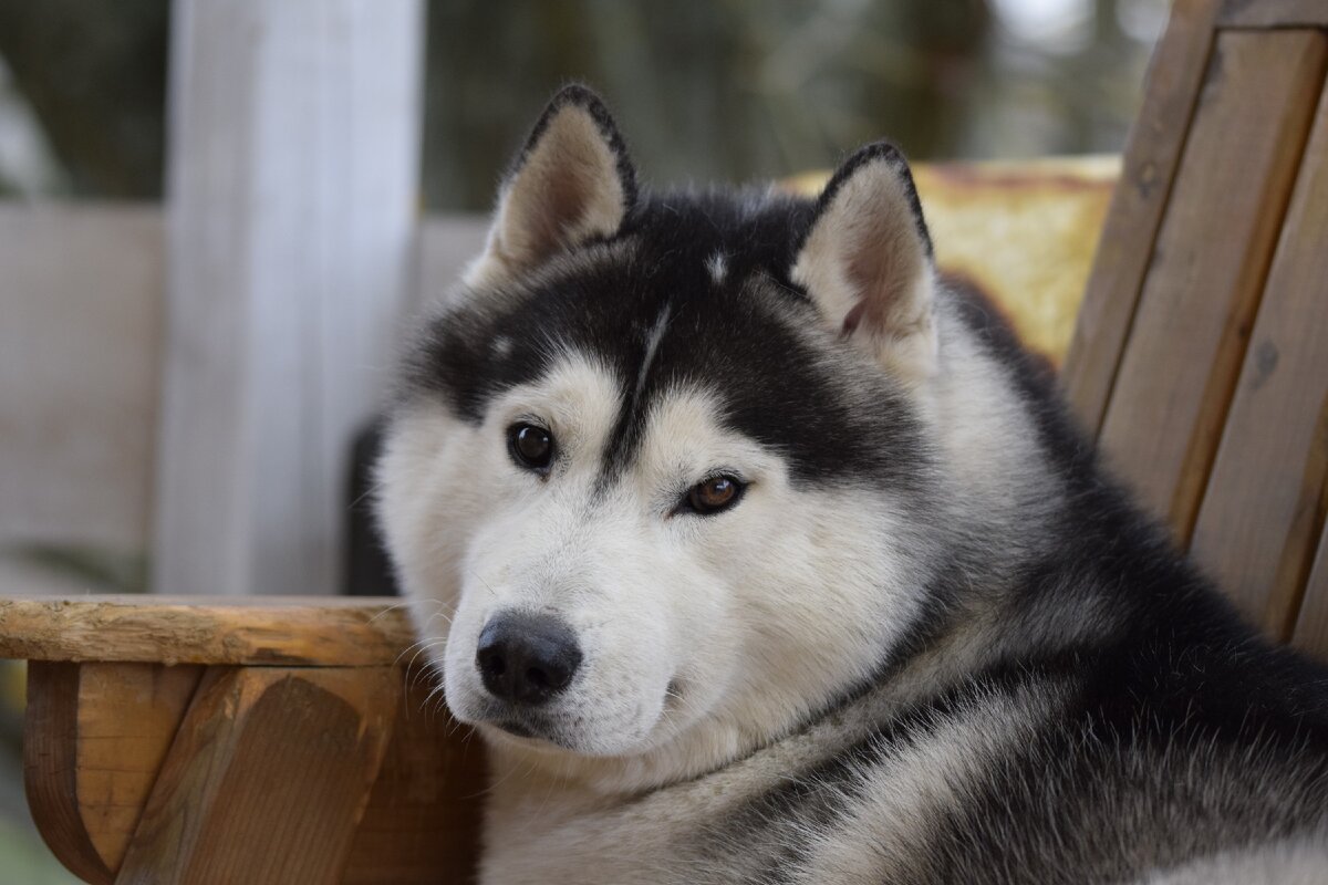 Пффф, чему это ты хочешь меня учить??