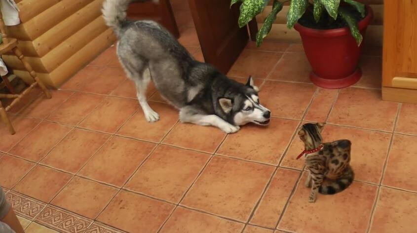 Изображение взято с сайта liveinternet.ru