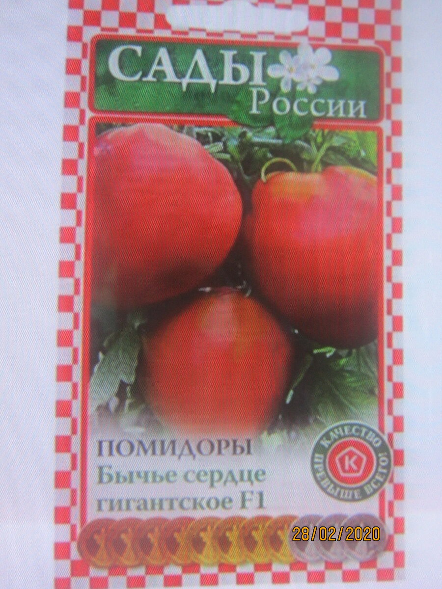 Бычье сердце гигантское