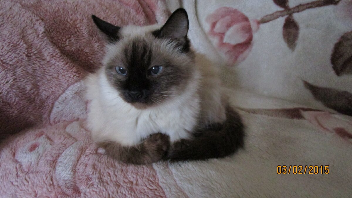 еще не знаем, но уже всё