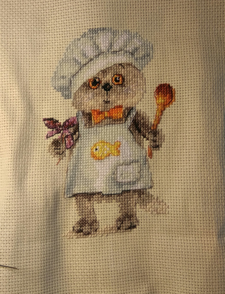 Фото автора. Кот Басик