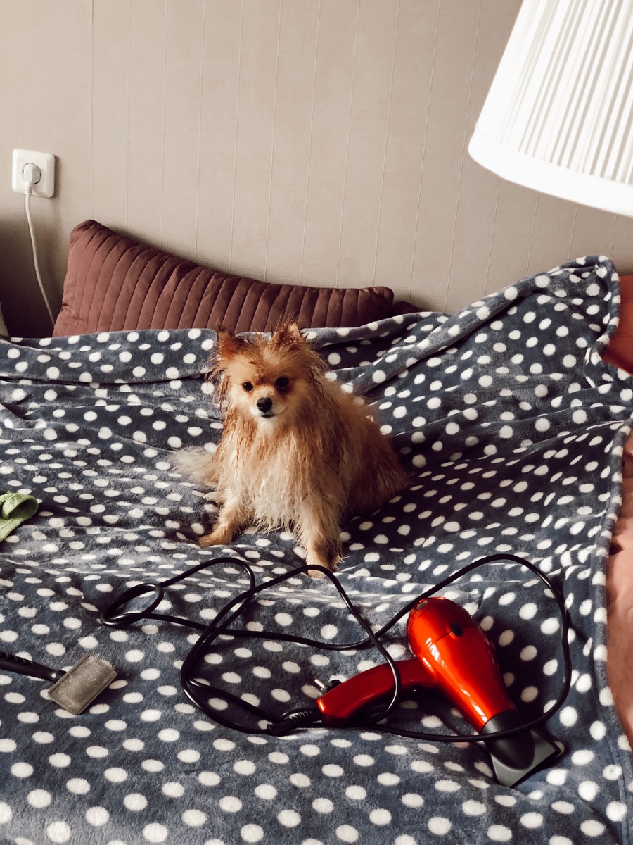 Он уже тоже устал видеть меня дома целыми дняяямиии