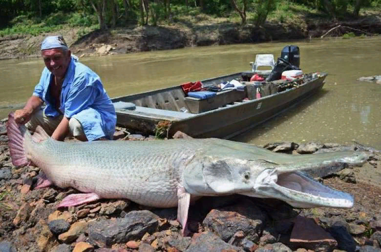 Чему он радуется, она ж его сожрёт