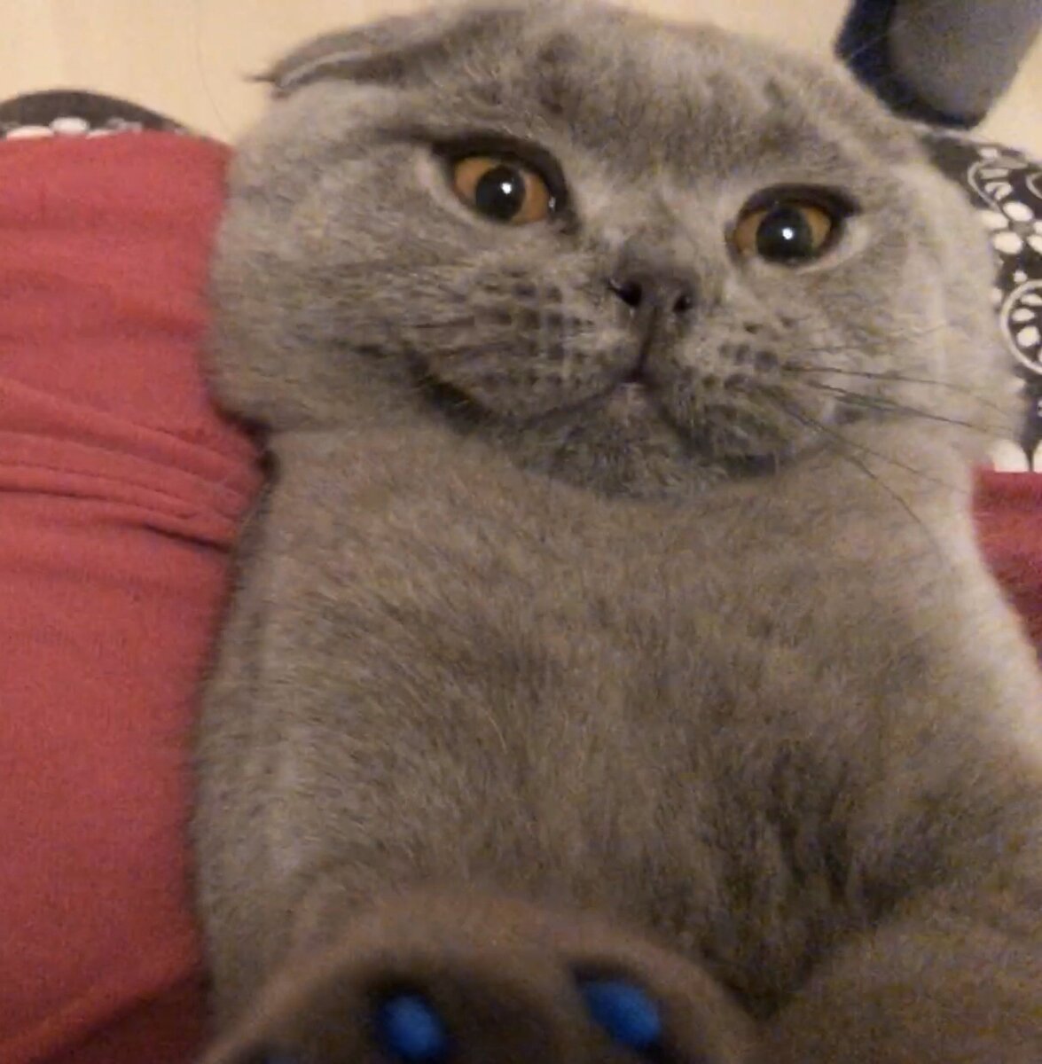 Какой еще нафиг маникюр??