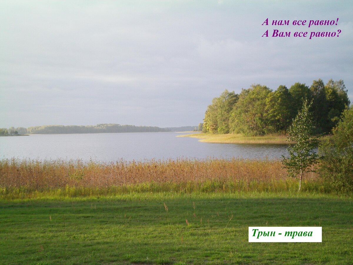  Landscape by ALEX DEFENDER