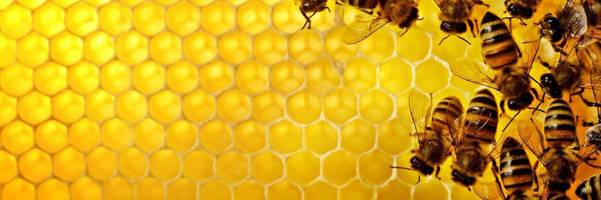 Иллюстрация взята из Яндекс.Картинки