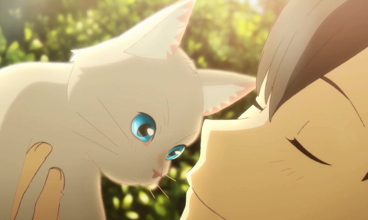 Сквозь слезы я притворяюсь кошкой 7/10