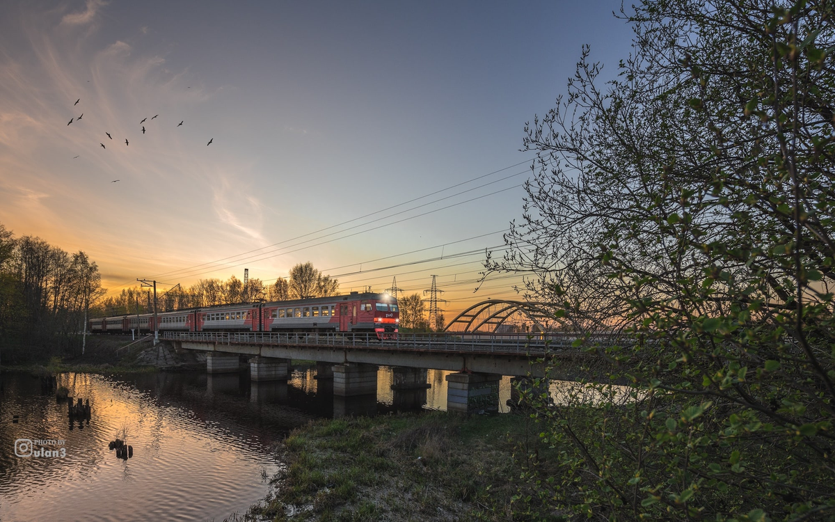 Ржевка санкт петербург