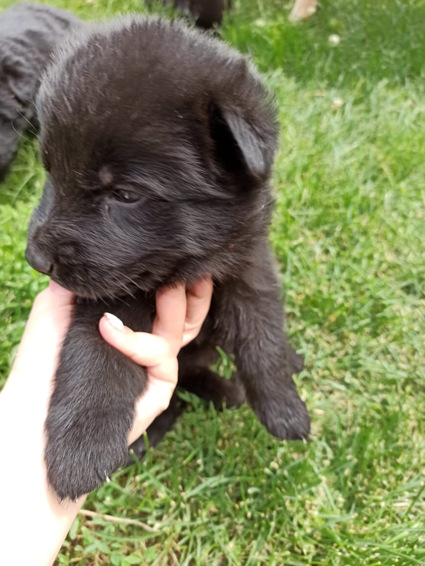 Не знаю, не знаю... Ладно, сфотографируйте!