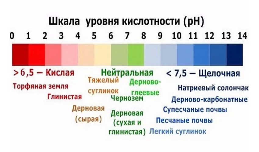 Нулевая кислотность