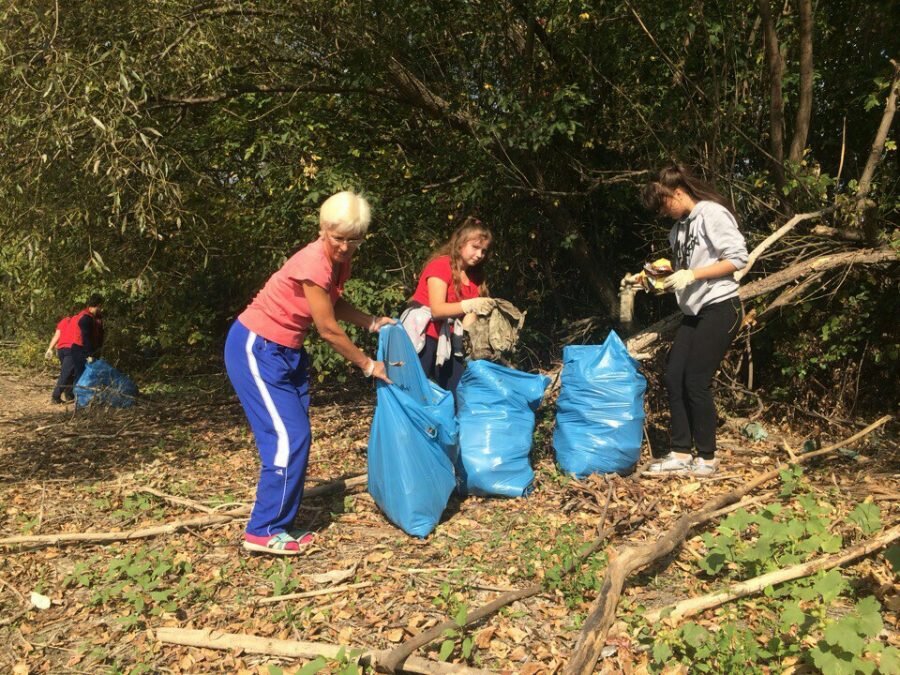 В Тверской области пройдет массовая уборка в День чистоты