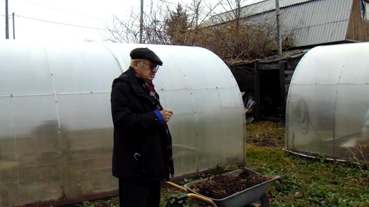 Место посадки — безветренное место, за домом и теплицами 