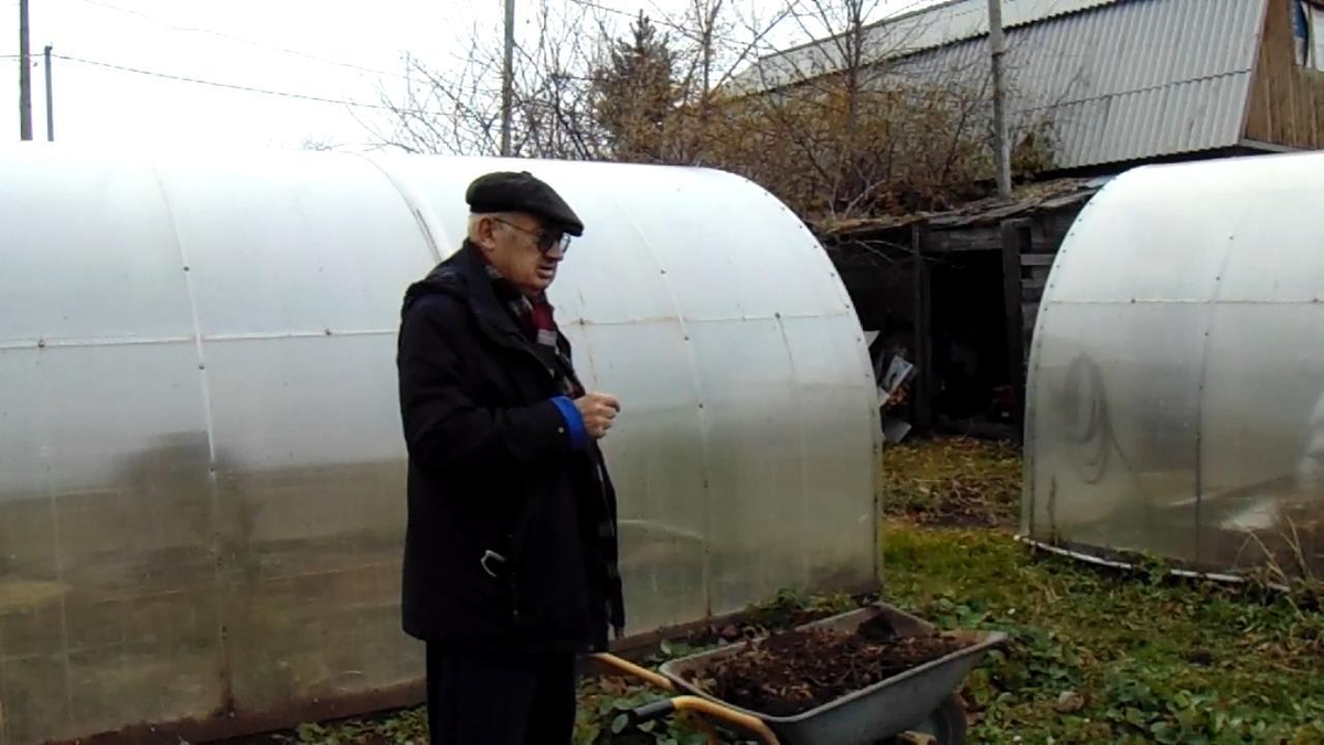 Ооо дема. Выращивание персика в средней полосе в теплице. Агро осень.