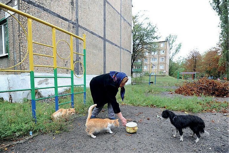 Кто-то серьезно думает, что она за ними убирает? (фото из интернета)