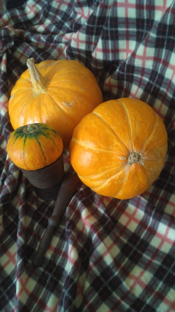 Тыква Улыбка и Конфетка. Семейная реликвия - чугунная ступка с пестиком.  