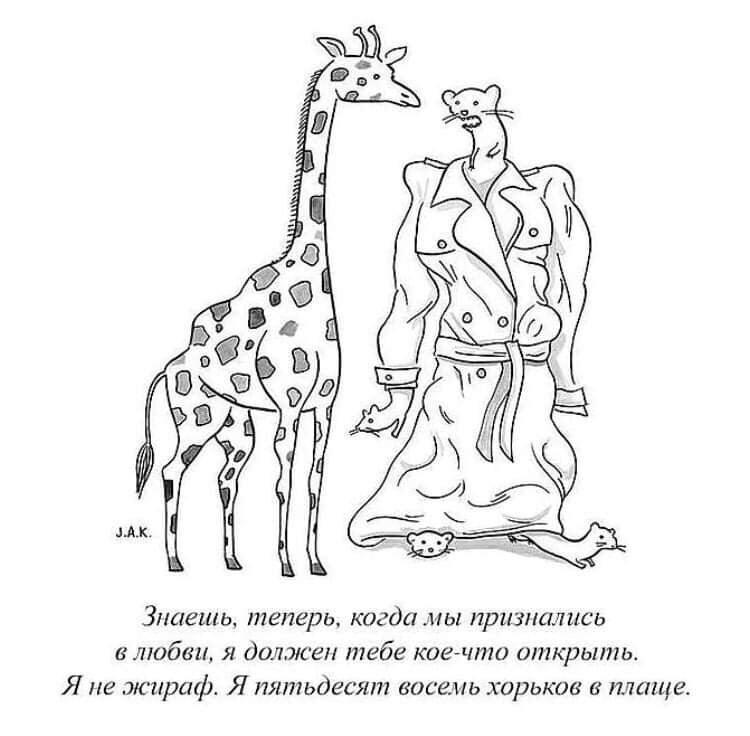 картинка взята из бескрайних просторов интернета 