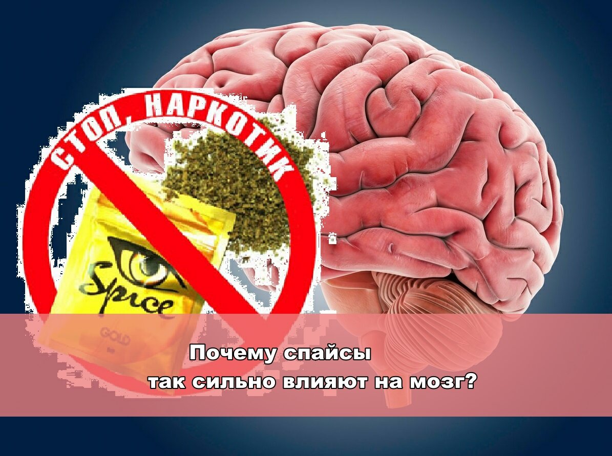 Опасность спайсов