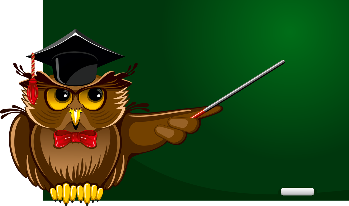 Фото с сайта: https://raduga.net.ru