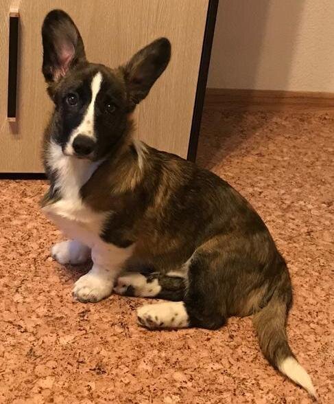 Вот мы и дома