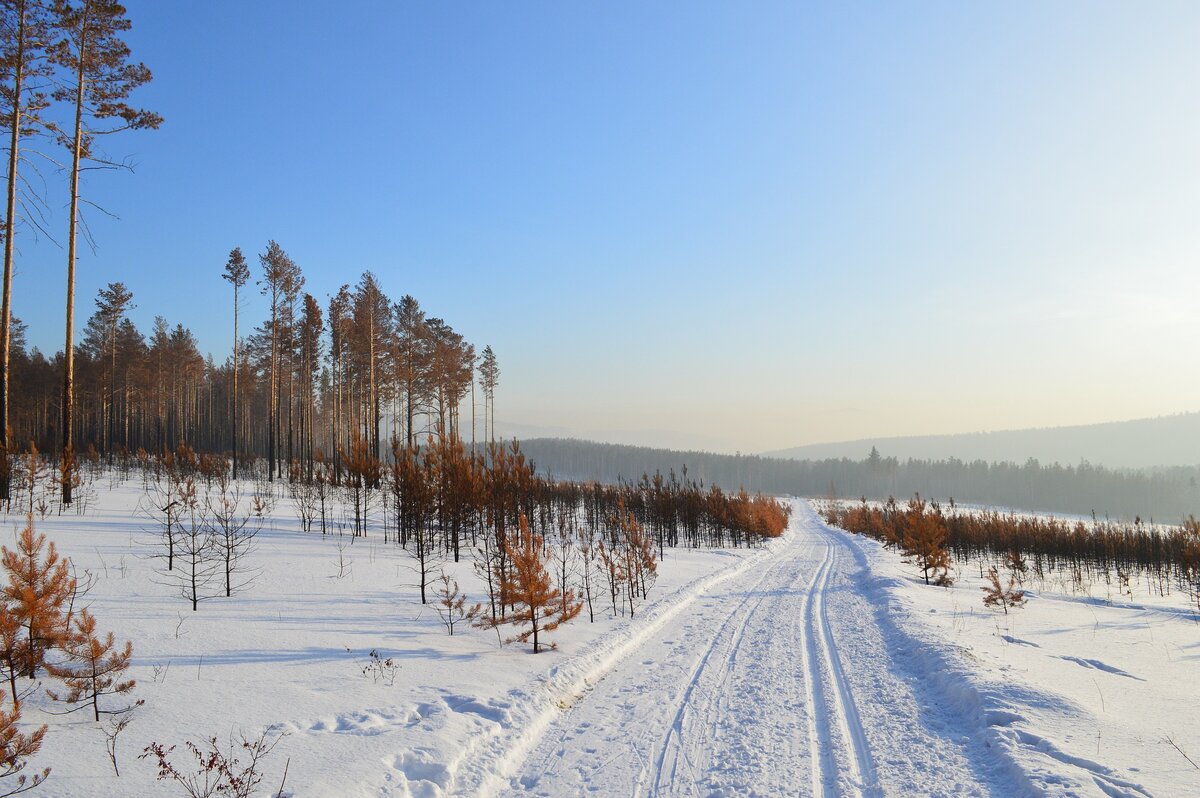 Зимняя дорога